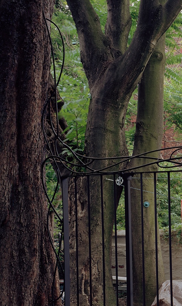 22_banyan_fence_detail