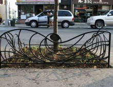 Bushwick Tree Guard