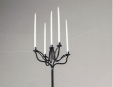 Hibiscus Candelabra, 1993